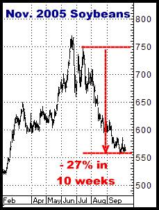 1-7-11nov05soybeans.png