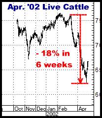 1-7-11apr02cattle.png