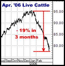 1-7-11apr06cattle.png