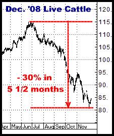 1-7-11dec08cattle.png