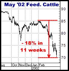 1-7-11may02feeder.png