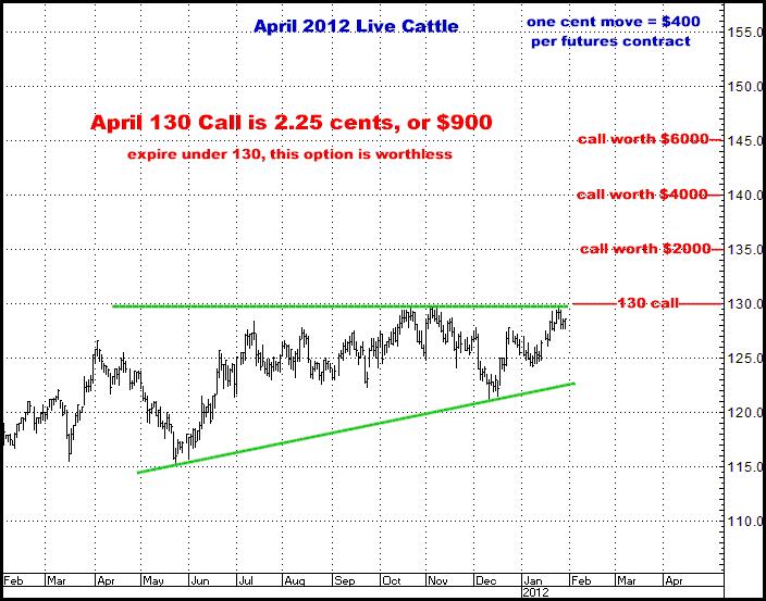 1-29-12april12cattle.png