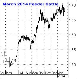 2-3-14march14feeder.png