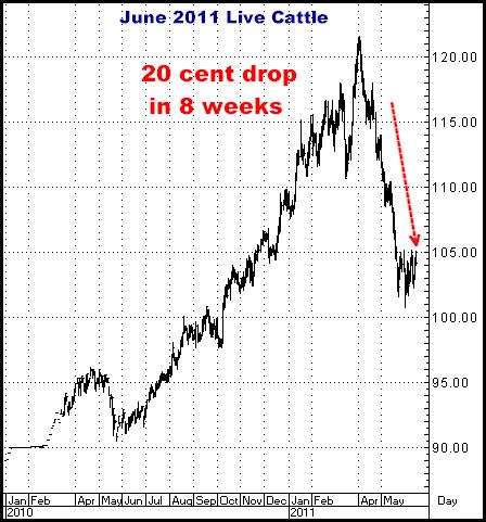 2-4-13june11cattle.png