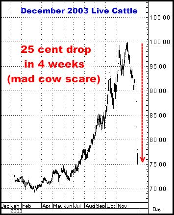 2-4-13dec03cattle.png