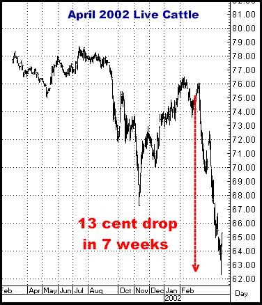 2-4-13april02cattle.png