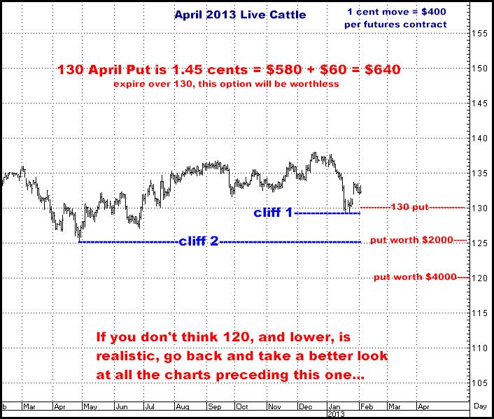 2-4-13april13cattle.png