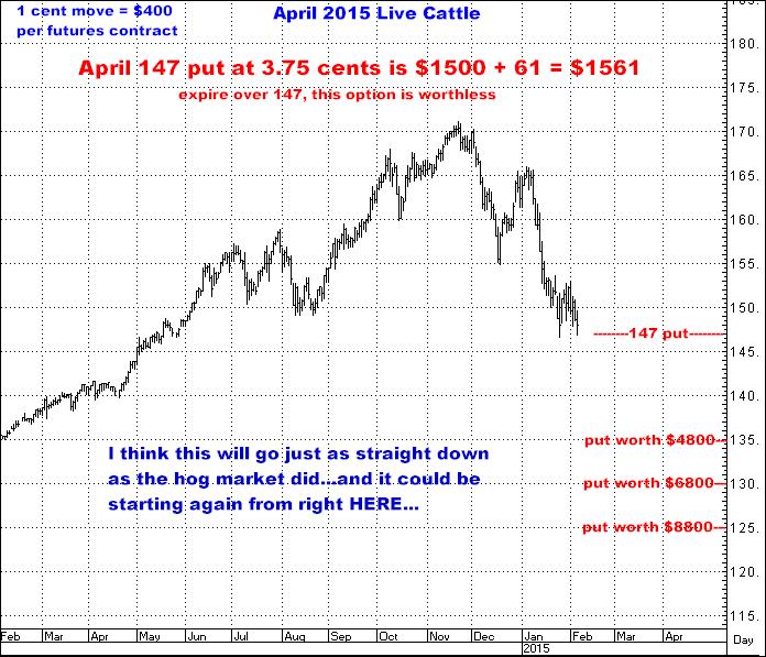 2-5-15april15cattle.png