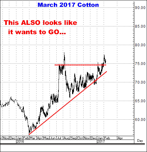 2-9-17march17cotton.png
