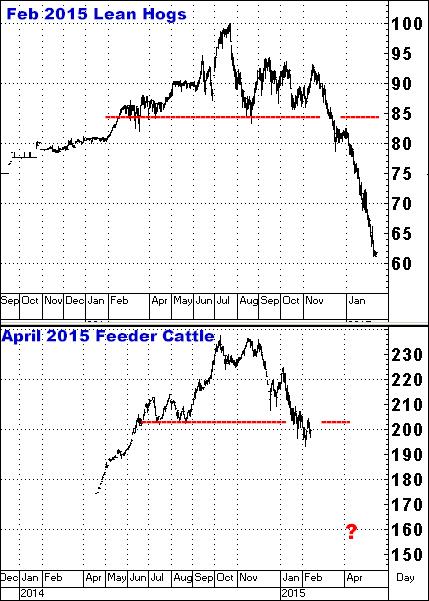 2-16-15hogs&feeders.png