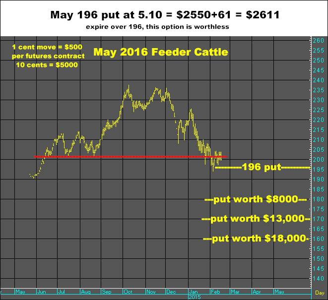 2-17-15may15feeder.png