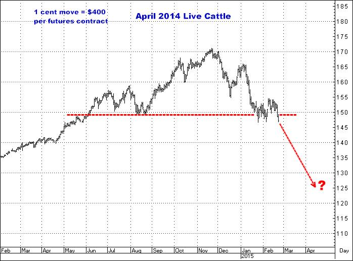 2-23-15april15cattle.png