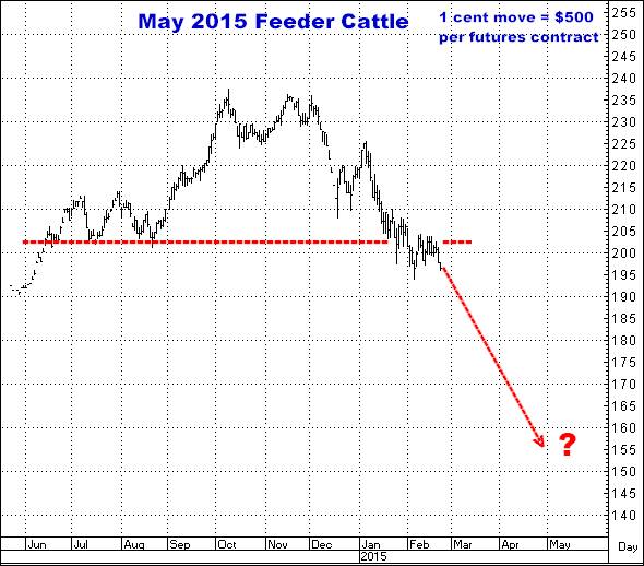 2-23-15may15feeder.png