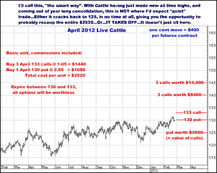 2-24-12april12cattle.png
