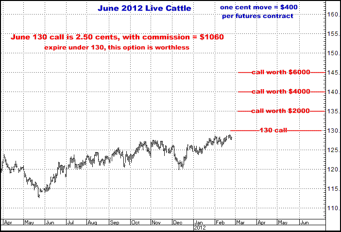 2-24-12june12cattle.png