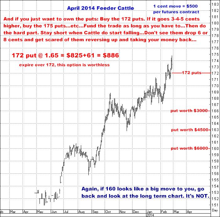 2-27-14april14feeder172put.png