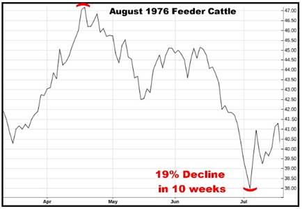 A graph showing the price of cattle

AI-generated content may be incorrect.