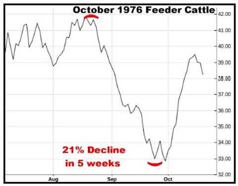 A graph showing the price of cattle

AI-generated content may be incorrect.