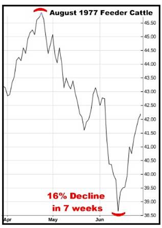A graph of a stock market

AI-generated content may be incorrect.