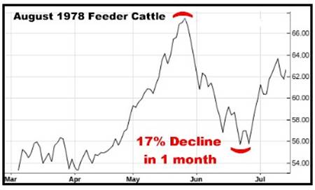 A graph showing the price of cattle

AI-generated content may be incorrect.