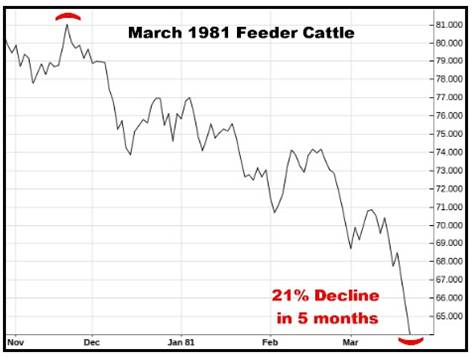 A graph showing the price of cattle

AI-generated content may be incorrect.