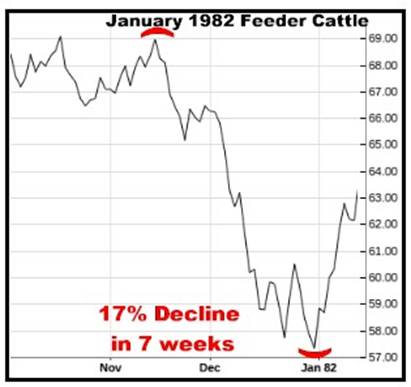 A graph showing the price of cattle

AI-generated content may be incorrect.