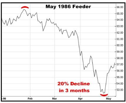A graph showing the growth of the feeder

AI-generated content may be incorrect.
