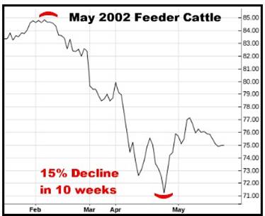 A graph showing a bull market

AI-generated content may be incorrect.