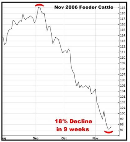 A graph of a bull market

AI-generated content may be incorrect.