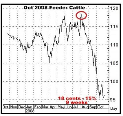 A graph of a bull market

AI-generated content may be incorrect.