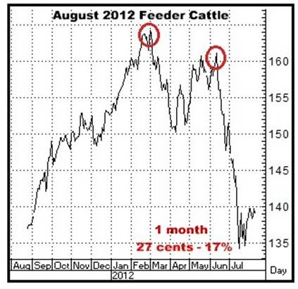 A graph of a bull market

AI-generated content may be incorrect.