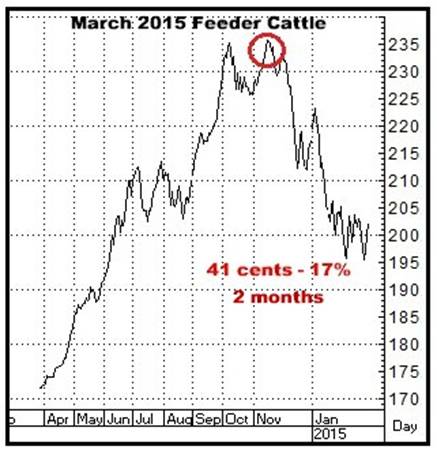 A graph showing a bull market

AI-generated content may be incorrect.