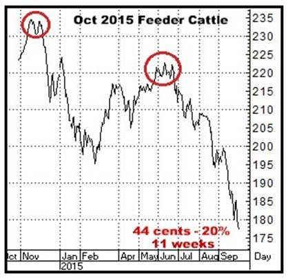A graph of a bull market

AI-generated content may be incorrect.