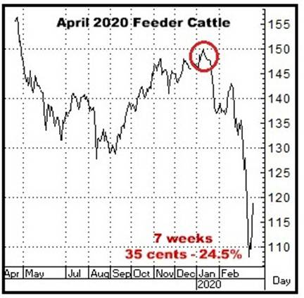 A graph of a bull market

AI-generated content may be incorrect.