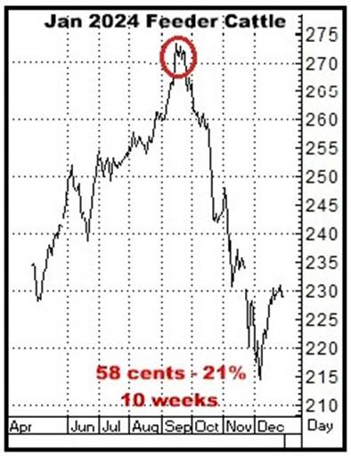 A graph of a stock market

AI-generated content may be incorrect.