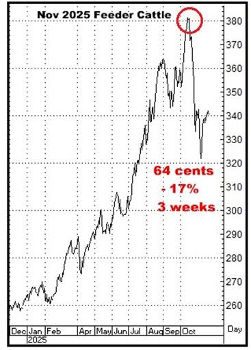A graph showing the price of a stock market

AI-generated content may be incorrect.