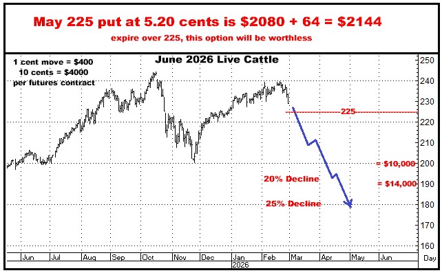 A graph showing the price of cattle

AI-generated content may be incorrect.