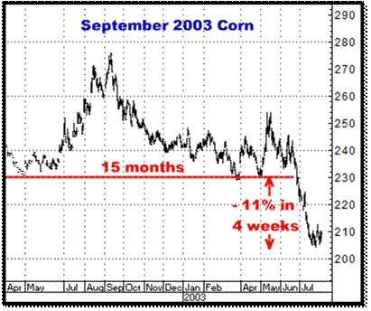 3-11-10sept03corn.png