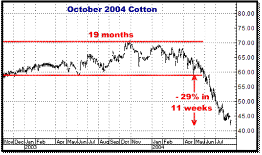 3-11-10oct04cotton.png