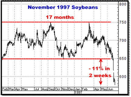 3-11-10nov97soybeans.png