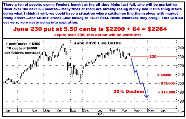 A graph with a price chart and a price chart

AI-generated content may be incorrect.