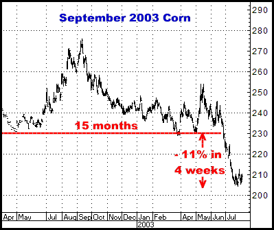 http://www.crokerrhyne.com/newsletters/3-11-10sept03corn.png