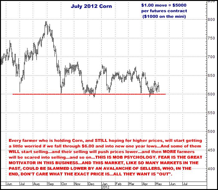 5-9-12july12corncloseup.png