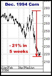 1-28-11dec94corn.png