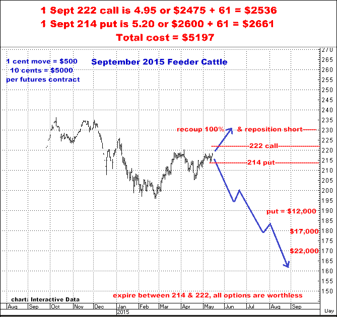 5-14-15sept15feeder.png