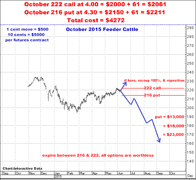 6-7-15oct15feeder.png