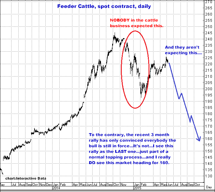 6-7-15feederdaily.png