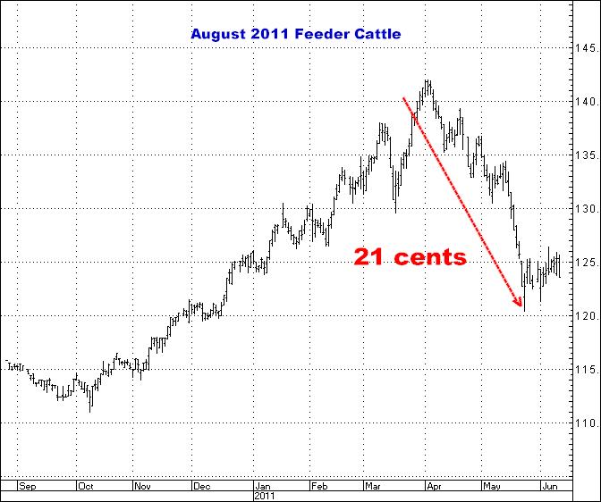 6-25-14aug11feeder.png