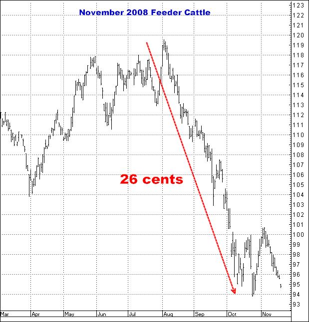 6-25-14nov2008feeder.png