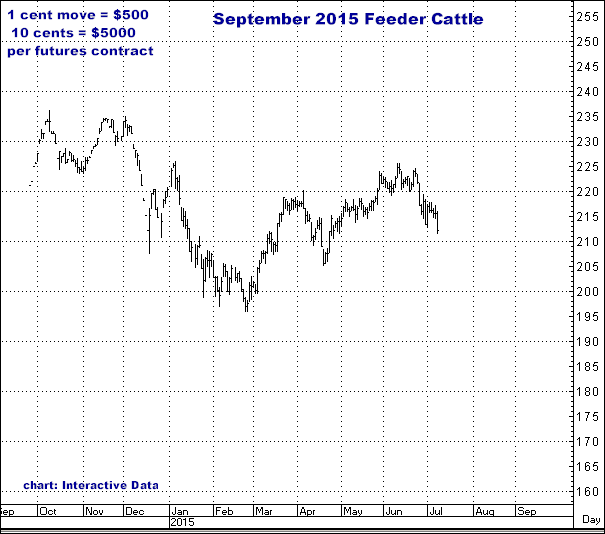 7-8-15sept15feeder.png
